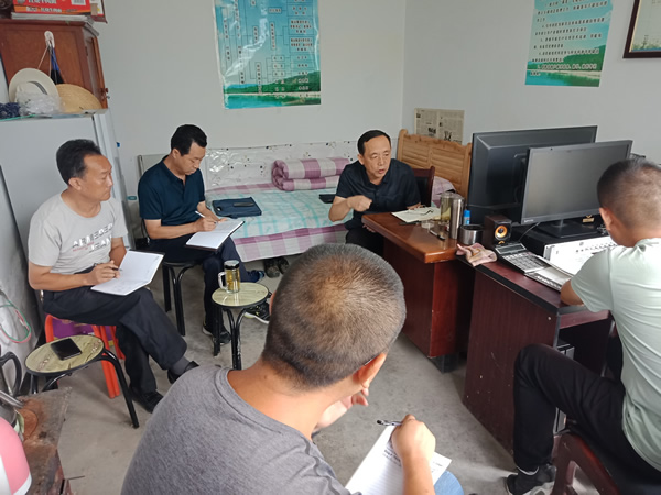 隴運集團公司黨委書記、董事長李寅祥深入琵琶鎮(zhèn)寧強村檢查指導幫扶工作